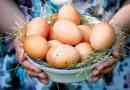 Helminți în ouă de pui