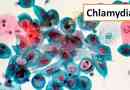 Chlamydia: caracteristici ale diagnosticului de chlamydia trachomatis dna