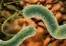 Enterofuril și viermi: ajută un remediu pentru paraziți?