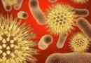 Ureaplasma urealiticum: perioada de incubație la femei și bărbați