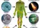 Tipuri de paraziți în corpul uman: fotografii și clasificare